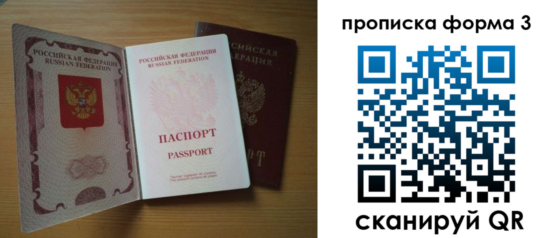прописка в квартире в Ермолино